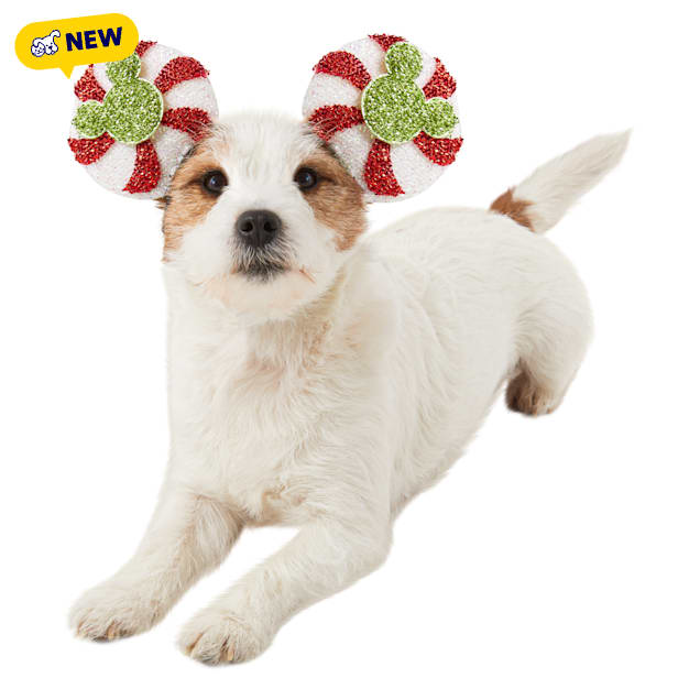 RUBIES Mickey Ear Peppermnt for Dogs, Red, Small/Medium - Carousel image #1