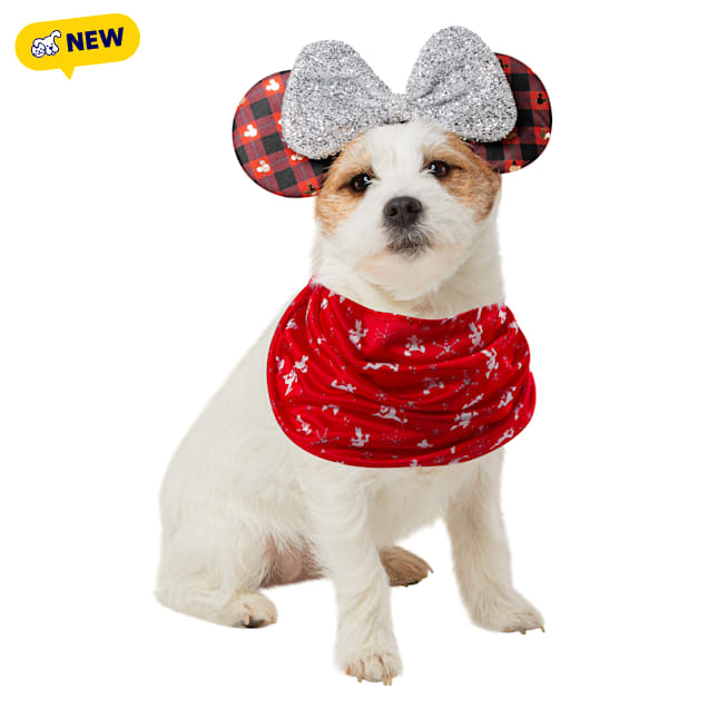 RUBIES Minnie Ear Buffalo for Dogs, Black, Medium/Large - Carousel image #1