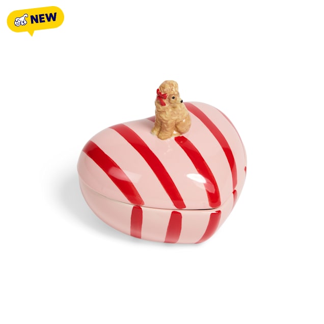 Petco Heart Dog Ceramic Jewelry Box - Carousel image #1