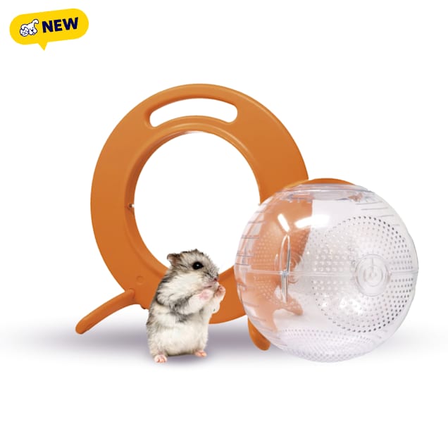 Happy Habitats Halo Small Pet Carrier and Clear Roam Exercise Ball, 7", Medium - Carousel image #1