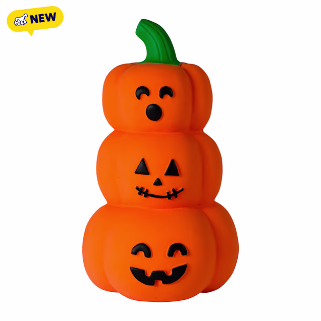 Petshop by Fringe Studio Go Big or Gourd Home Dog Toy, Medium - Carousel image #1