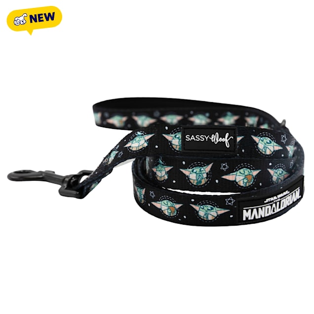 Sassy Woof STAR WARS Grogu's Galactic Adventure Dog Leash, 60" L X 0.8" W - Carousel image #1
