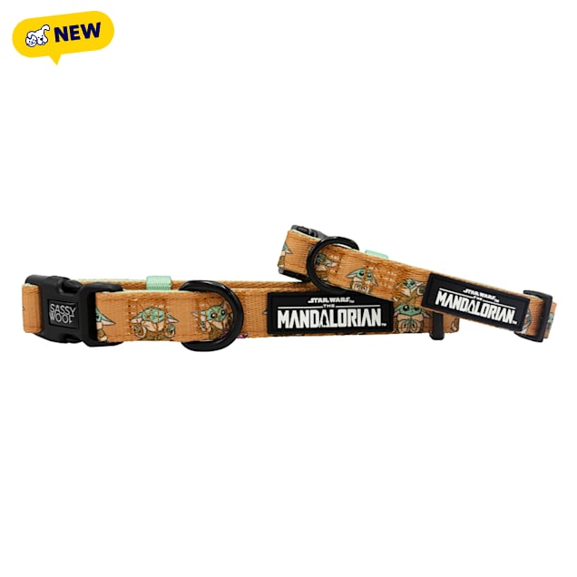 Sassy Woof STAR WARS The Cutest Bounty Dog Collar, Small - Carousel image #1