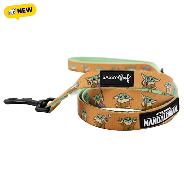 Sassy Woof STAR WARS The Cutest Bounty Dog Leash, 60" L X 0.8" W - Carousel image #1