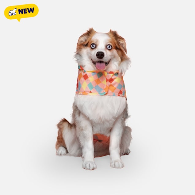 Canada Pooch Pick Me Poncho for Dogs, Multi-Colour, X-Small - Carousel image #1