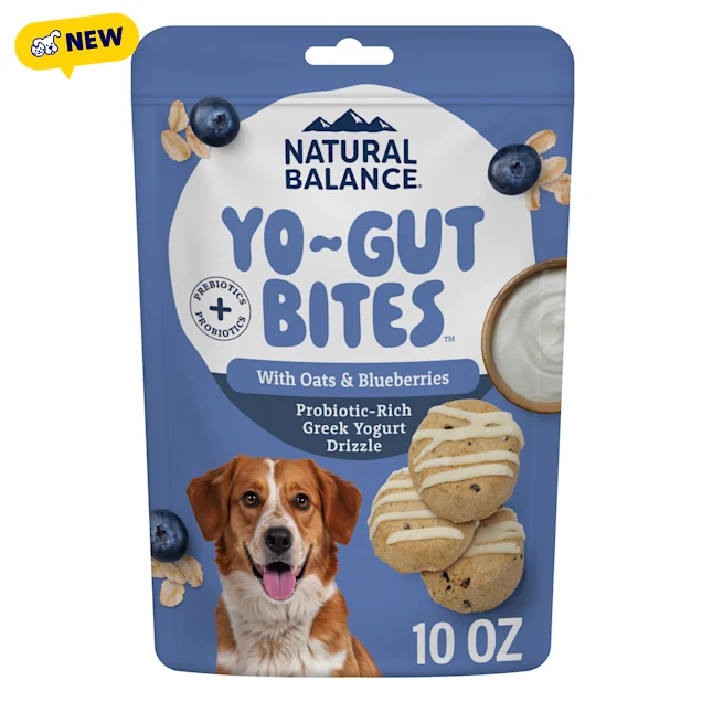 Natural Balance Yo-Gut Bites with Oats & Blueberries for Dogs, 10 oz. - Carousel image #1