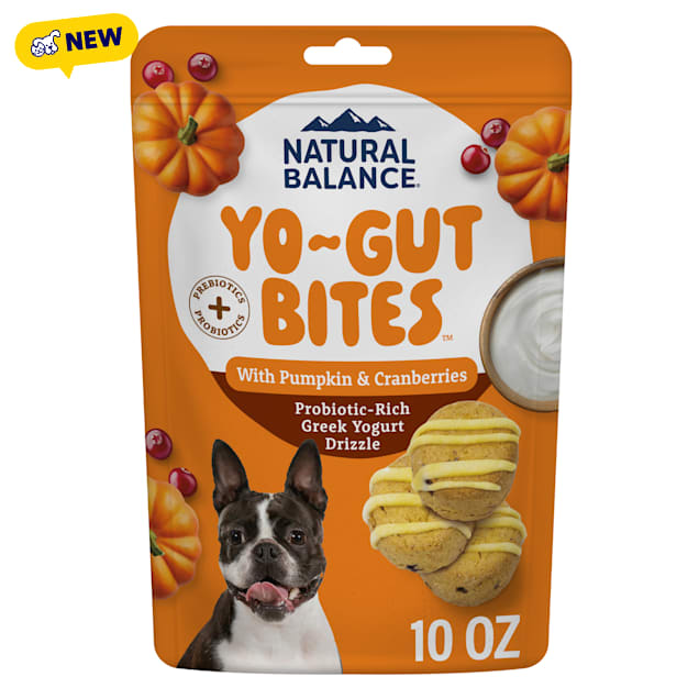 Natural Balance Yo-Gut Bites with Pumpkin & Cranberries for Dogs, 10 oz. - Carousel image #1
