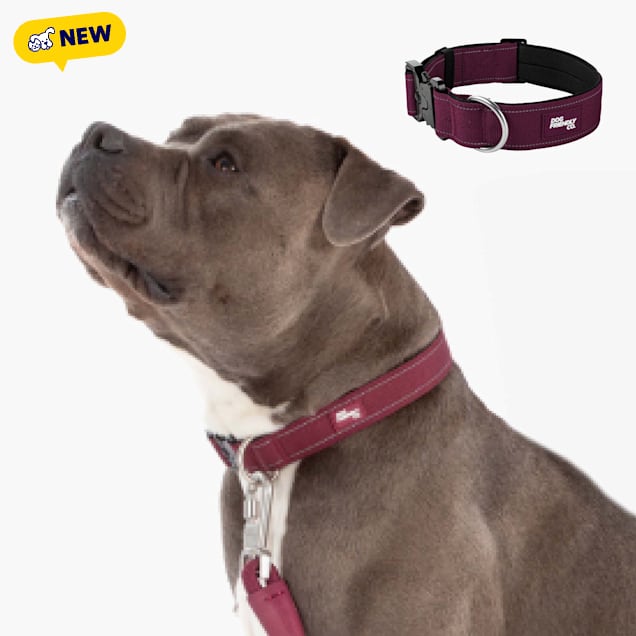 Dog Friendly Co Premium Tactical Dog Collar, Burgundy, XX-Small/X-Small - Carousel image #1