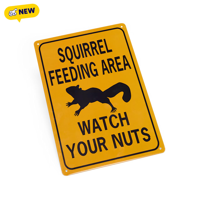 Petco Squirrel Feeding Area Metal Decorative Wall Sign - Carousel image #1