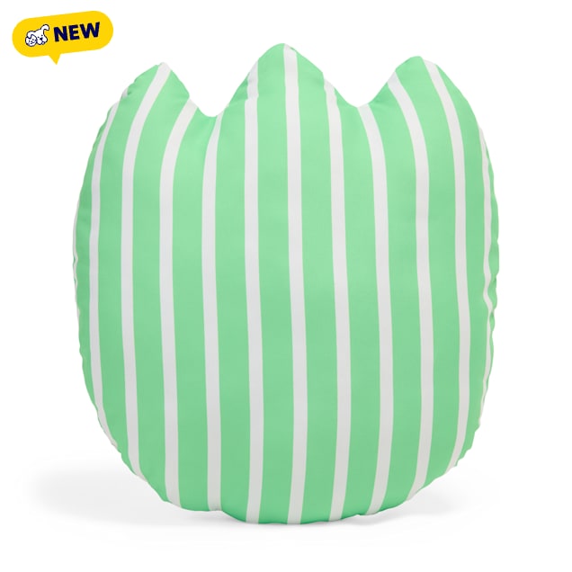 Petco Striped Flower Decorative Accent Pillow, Green - Carousel image #1