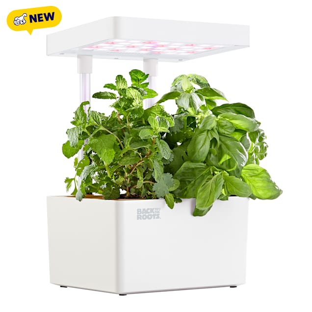 Back to the Roots Hydroponic Grow Kit Indoor Garden with LED Light and Organic Seeds Matte White, Small/Medium - Carousel image #1