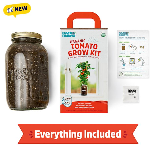 Back to the Roots Organic Cherry Tomato Windowsill Planter Grow Kit, Small - Carousel image #1