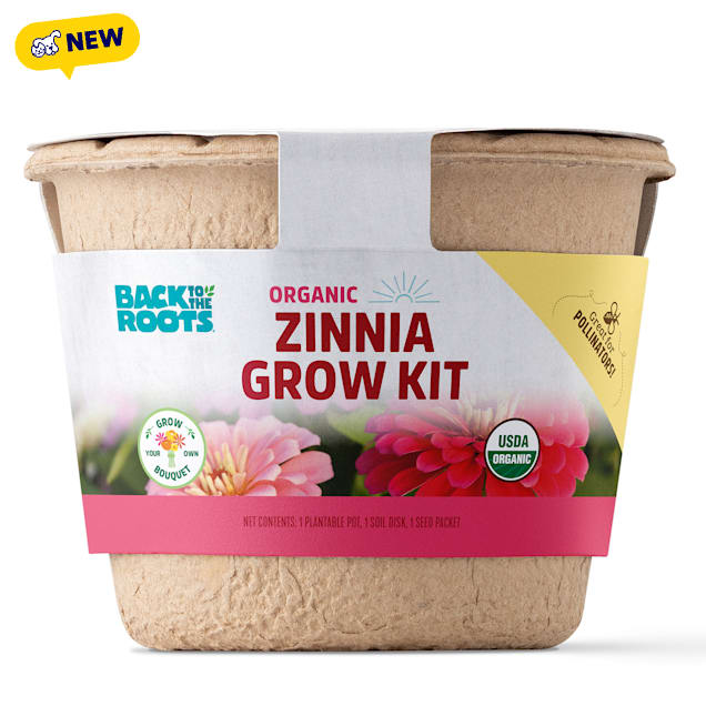 Back to the Roots Grow Kit Organic Zinnia Flower, Small - Carousel image #1