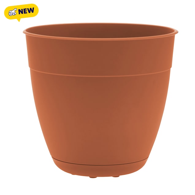 Bloem Dayton 6" Terra Cotta Planter - Carousel image #1