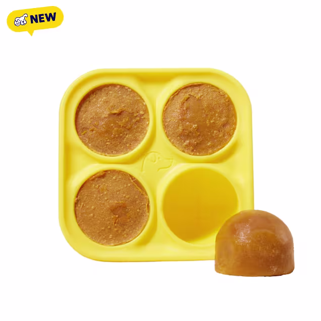 Woof Pupsicle Treat Tray Mold for Dogs, Small - Carousel image #1