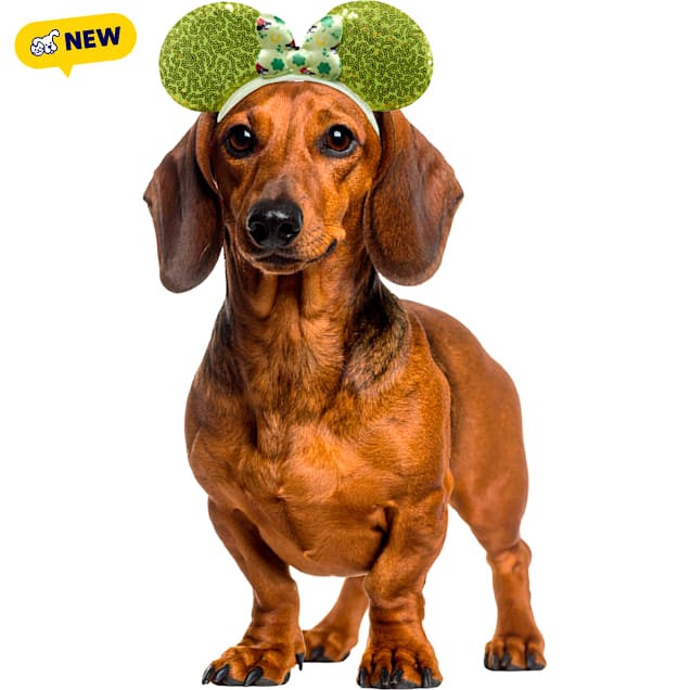 RUBIES Minnie Ears St.Patricks for Dogs, Green, Small/Medium - Carousel image #1