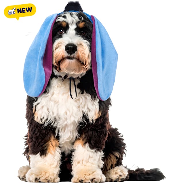 RUBIES Eeyore Ears for Dogs, Blue, Small/Medium - Carousel image #1
