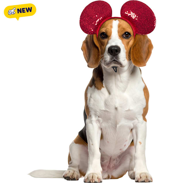 RUBIES Mickey Ears Valentines for Dogs, Red, Small/Medium - Carousel image #1