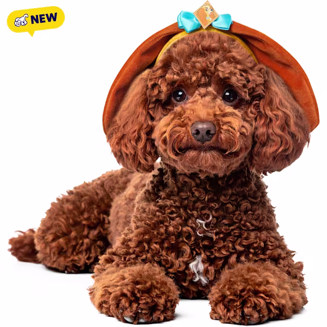 RUBIES Lady and The Tramp Ears for Dogs, Tan, Small/Medium - Carousel image #1