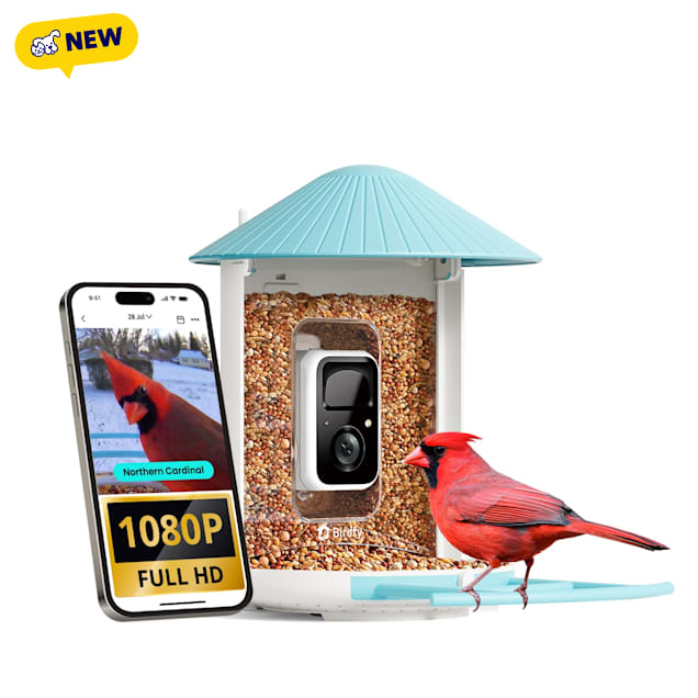 Birdfy Smart Bird Feeder Camera AI Recognition, 8.03" L X 7.56" W X 11.02" H, 1.5 Litter - Carousel image #1