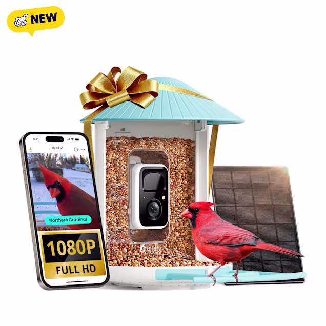Birdfy Smart Bird Feeder with Camera, Solar Powered & AI Recognition, 8.03" L X 7.56" W X 11.42" H, 1.5 Litter - Carousel image #1