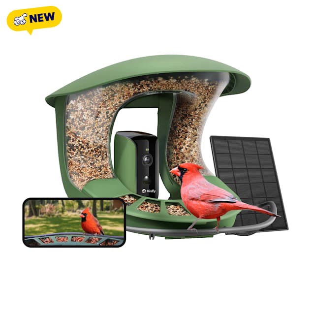 Birdfy Feeder 2 Smart Bird Feeder with Camera, AI Recognition, 11.42" L X 11.42" W X 9.84" H - Carousel image #1