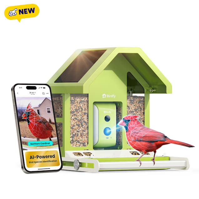 Birdfy Metal Bird Feeder with Camera Squirrel Proof, AI Lifetime Free, Solar Powered, 11.42" L X 10.24" W X 9.84" H - Carousel image #1