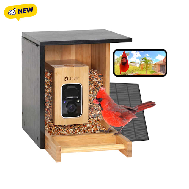 Birdfy Black Bamboo Smart Bird Feeder with Camera Solar Powered, 10.94" L X 9.76" W X 11.14" H, 1.9 Litter - Carousel image #1