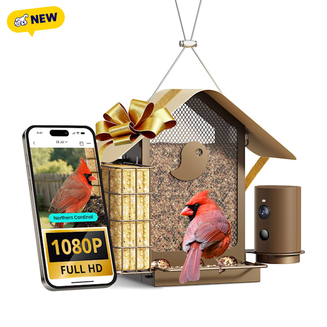 Birdfy Metal V Bird Feeder with Camera, Durable Suet Feeder Dual Camera AI by Subcription, 6.1" L X 6.1" W X 11.65" H - Carousel image #1