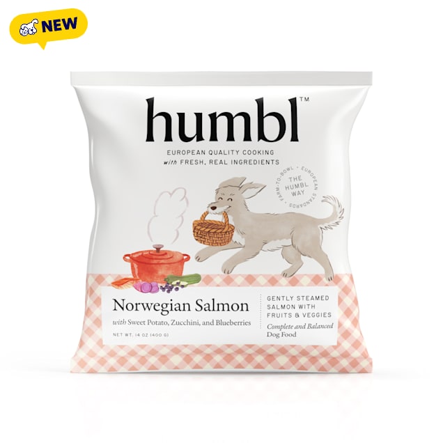 HUMBL Frozen Pourable Pouch EU-Sourced Norwegian Salmon Gently Cooked Dog Food, 14 oz. - Carousel image #1
