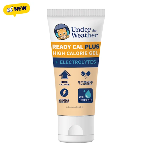 Under the Weather Ready Cal Gel Plus with Elecytrolyes for Cats, 0.22 lbs. - Carousel image #1