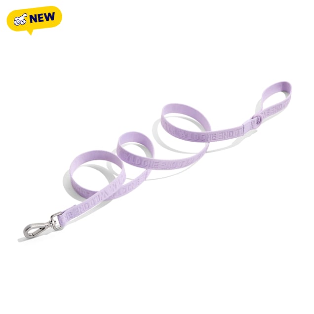 Wild One Lilac Lightweight Nylon Dog Leash, 72" L X 1" W - Carousel image #1