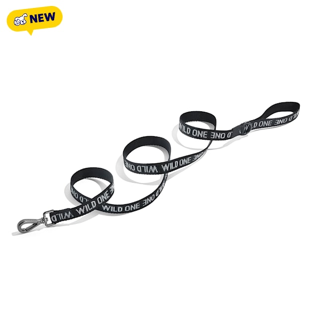 Wild One Black Lightweight Nylon Dog Leash, 72" L X 1" W - Carousel image #1
