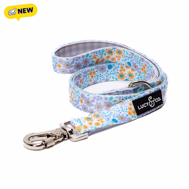 Lucy & Co. Among The Wild Flowers Dog Leash, 1.34" H, 3.15" W, Large - Carousel image #1