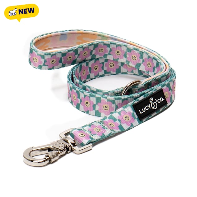 Lucy & Co. Just Chill Dog Leash, 1.34" H, 3.15" W, Large - Carousel image #1