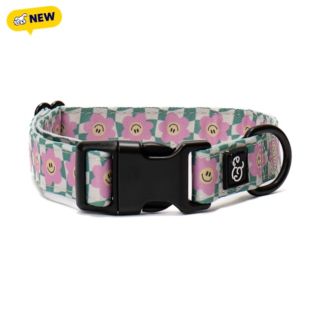 Lucy & Co. Just Chill Dog Collar, Small - Carousel image #1