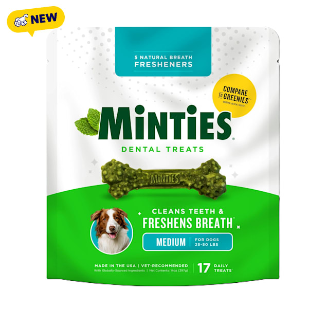 Minties Denta Medium Bone Dog Treats, 14 oz., Count of 17 - Carousel image #1