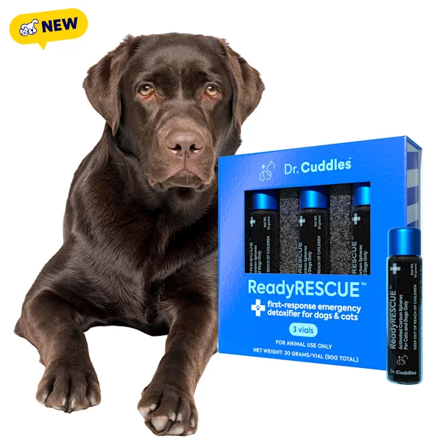 ReadyRESCUE Emergency Detoxifier for Dogs & Cats, 30 grams, Pack of 3 - Carousel image #1