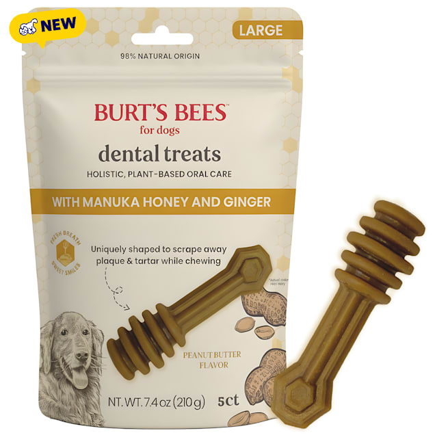 Burt's Bees Peanut Butter w/ Manuka Honey & Ginger, Holistic, Plant-based Oral Care Medium Pets Dental Treats for Dogs, 7.4 oz. - Carousel image #1