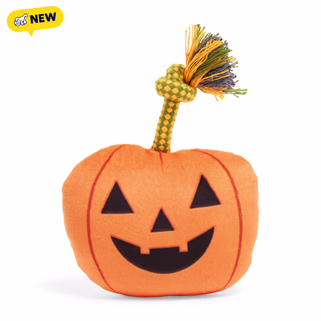 Petco Pumpkin Plush Dog Toy, Small - Carousel image #1