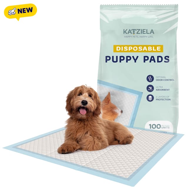 Katziela Disposable Dog Pee Pads, 22" L x 23" W, Count of 100 - Carousel image #1