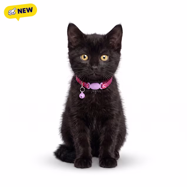 Petco Swirl Breakaway Kitten Collar, Pink, X-Small - Carousel image #1