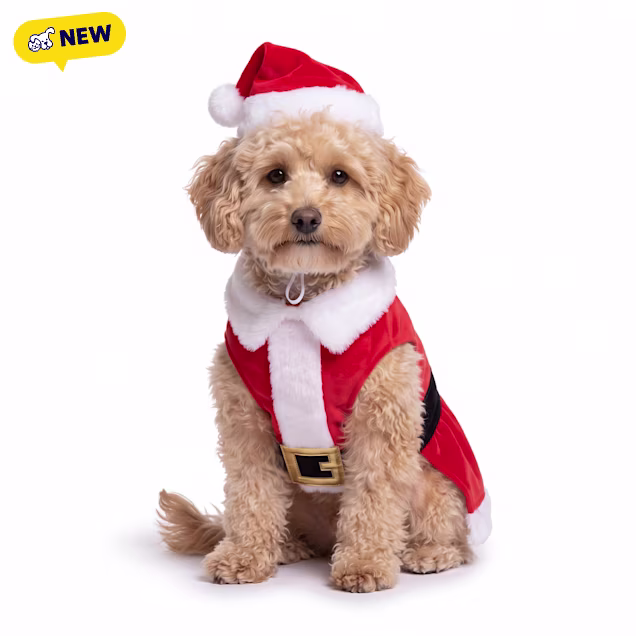Petco Holiday Santa Suit Pet Costume Set, X-Small - Carousel image #1