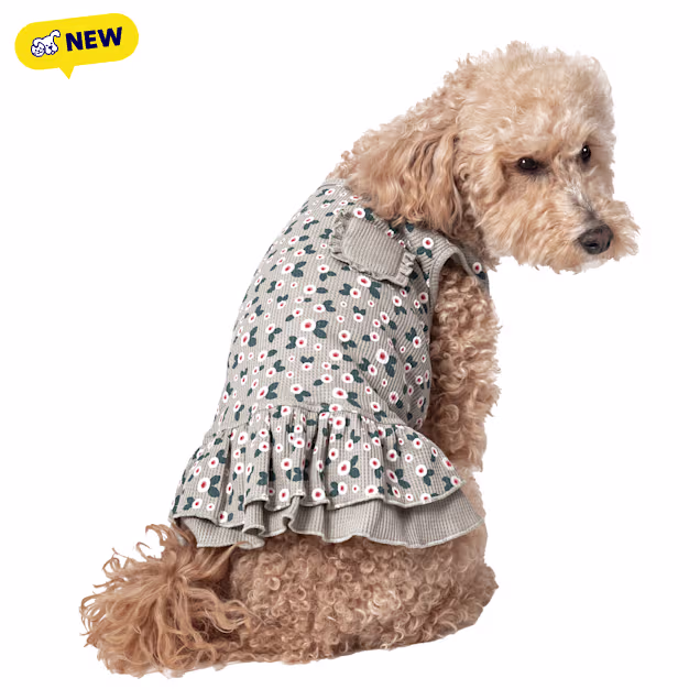 petco dog christmas dress Santa Christmas Dog Party Dresses | Poshdoglife.com