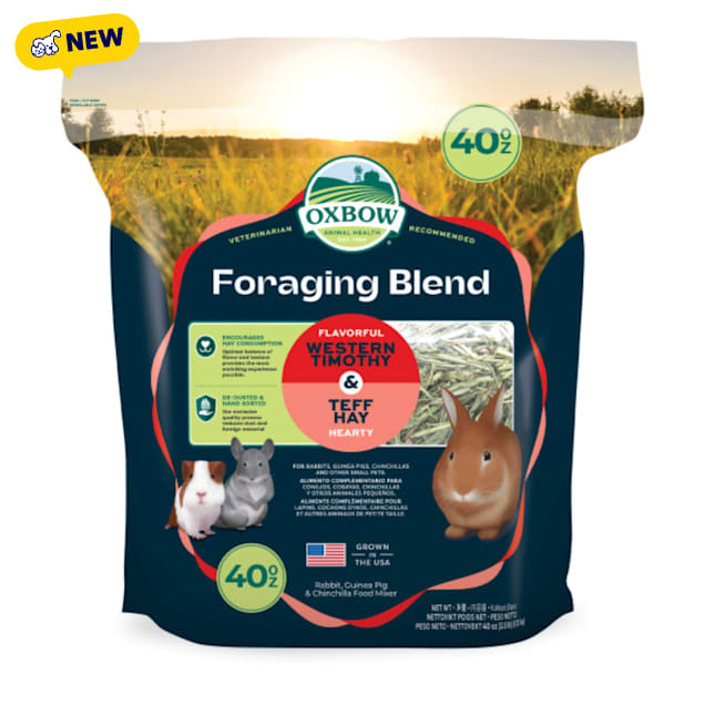 Oxbow Foraging Hay Blends Western Timothy & Teff,Hay for Rabbits ...