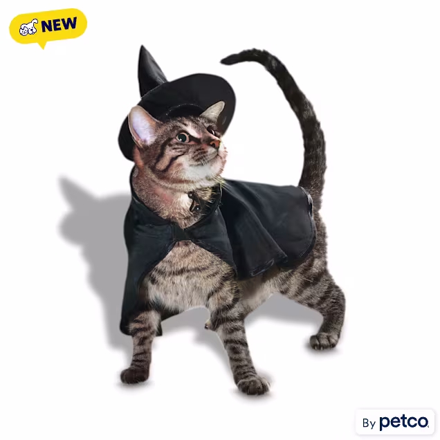 Petco Witch 2-Piece Cat Halloween Costume, X-Small - Carousel image #1