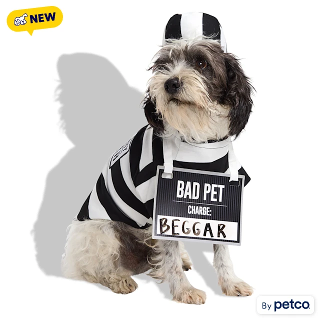 Petco Prisoner Pet Halloween Costume, X-Small - Carousel image #1