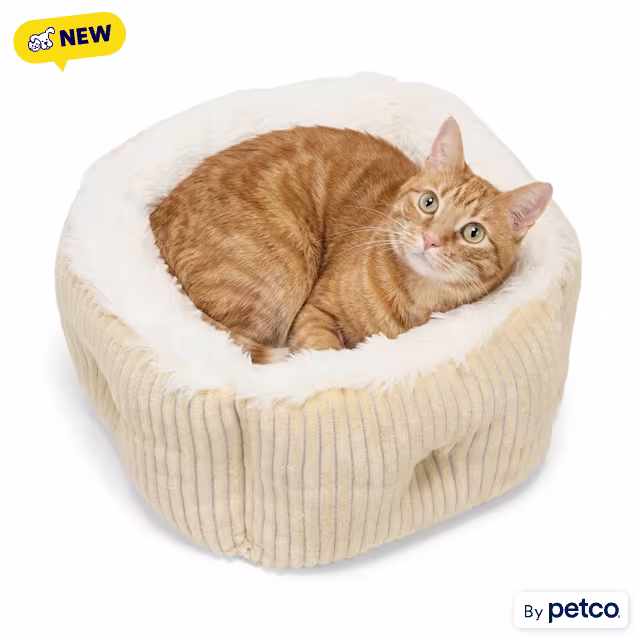 EveryYay Square High Wall Cat Bed, 15" L x 15" W x 10" L, Medium - Carousel image #1