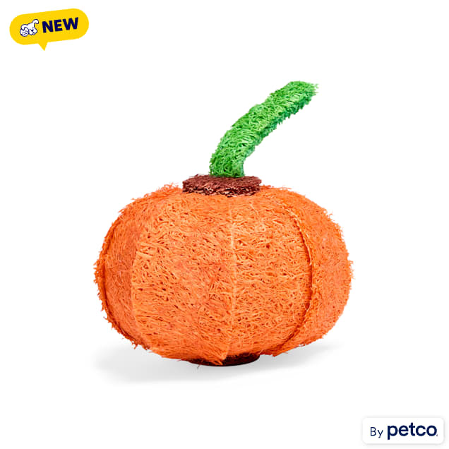 Bootique Small Animal Pumpkin Loofah Chew Toy, Small - Carousel image #1