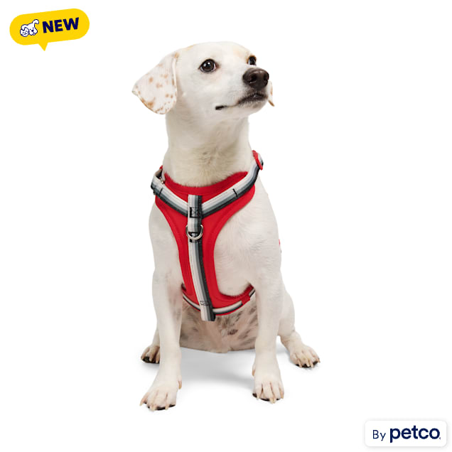 YOULY Comfort Neoprene Dog Harness, Red, X-Small - Carousel image #1